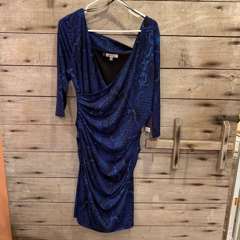 Jennifer Lopez Dress